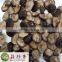 organic fresh shiitake mushroom from fujian China