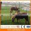 Agriculture PVC fabric 6*6*3.7m span Cattle Shelter