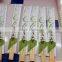 Green, manufacturers of disposable chopsticks