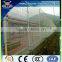 beautiful double loop wire mesh/douvle loop fence manufacture,decorative double loop wire mesh