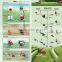 agriculture good quality energy-saving ULV portable electric sprayer DS-5