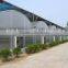Multi span polythene film covered greenhouse for vegetables