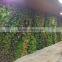 Decoration Green Grass Plants Wall Design