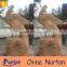 classical chinese marble phoenix sculpture price NTBM-A006X
