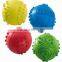 EVA pet ball pet toys