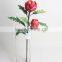 Natural Plastic Dragon Fruit Plant Decorative Fruit Plant for Decoration
