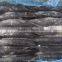 Frozen Bonito