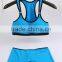 GZY 2015 plain high quakeproof seamless hot sexy xxxx sports bra