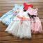 Wholesale Lace Girl Banquet Dress Sleeveless Fashionable Party Girl Dress
