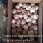 2017 New Crop 5cm Normal White Fresh Garlic 10kg Box Packing