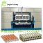 paper forming egg tray machine price/Longkou Fuchang paper pulp molding egg tray making machine price