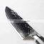 Professional Knife Japanese VG10 Carbon Stainless Steel Chef Knife