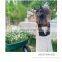 2020 New Girls Dress Backless Patchwork Sleeves Cotton Summer Girls Dresses