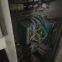 Somet Thema Excel 360cm rapier looms year 1995  Staubli 2612 dobby Weaving Machine Shirting