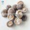 BRC Certified IQF Frozen Shiitake Mushroom Whole