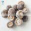 BRC Certified IQF Frozen Shiitake mushroom whole