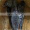 Frozen bonito from China seafood exporter with size 750-3000 g / pcs