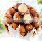 Best price Hawaiian Fruit Cracker Nut Cracker Machine Macadamia Open Machine