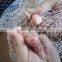 Anti Hail Net Hail Garden Insect Netting Nets