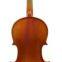 INNEO Violin - Quality European Wood Instrument