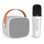 Hot Selling Indoor Outdoor Party Mini portable Wireless Ktv Karaoke System Speaker Active with Microphone Mic