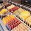 machines to make ice-cream popsicle maker