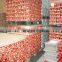 Canned Mushroom Top Quality
