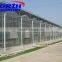 Economicl greenhouse/Vegetable greenhouse/Flower greenhouse