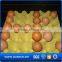 new hot 12 eggs tray pp for packing and transportation