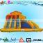 giant inflatable water slide for adults , large screamer water slide with pool for sale