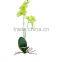 wholesale 15-150cm artificial flowers, artificial orchid,artificial plants