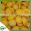 Market Price For Frozen Yellow Peach