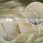 Bleached Pattern and Concrete,Spinning Use Best Quality Natural Sisal Fiber