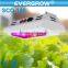 EverGrow 2016 Saga series Full Spectrum for Hydroponics plant led grow light