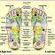 003A Foot reflexology massager acupuncture infrared vibration with remote control and slimming belt
