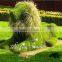 2016 new designed selling artificial topiary animal for garden landscaping with competitive price