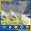 Garden Fence Mesh Eco-friendly Stainless Steel Metal Garden Fence Wire Rope Mesh