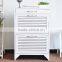Modern High Quality Wooden Shoe Cabinet