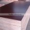 2016 High quality 12mm film faced plywood with best price