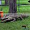 Animatronic crocodile sculpture animal model garden stature for display