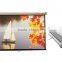 Scraping white plastic Manual screen wall mount touch projection screen