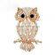 Prcious Colorful Opal Women Brooches Micro Pave Setting Crystal Owl Gold Silver Plated Clothes Pin Clasp
