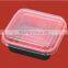 plastic Sushi box