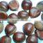 Organic Chinese Fresh Chestnuts on sale with cheap price for sale best service