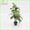 cheap artificial big leaves pant trees plastic trunk bonsai