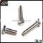 China Screw Manufacturer Fabrication Standard and Customized Special Screws