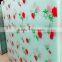 china manufacturer promotion silkscreen printing glass for interior door