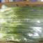 Spring Onions