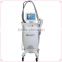 Cold Laser Slimming Effective cryo cold therapy fat loss