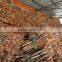 CASSIA FROM VIETNAM ( website: ms.swan2) E: SWAN120488 AT GMAIL dot com